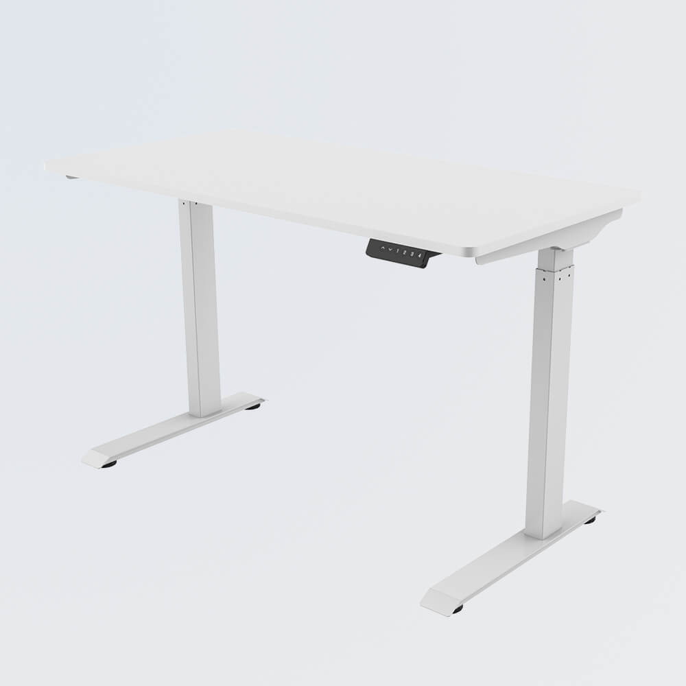 Sit Standing Desk Dual Motor T06