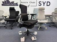 Herman Miller Embody Chair