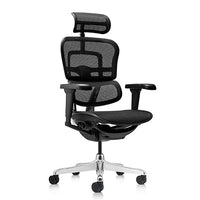 Special Ergohuman 2 Ultra Fabric Mesh Combo
