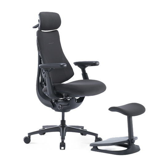 LiberNovo Omni Pro Dynamic Ergonomic Chair