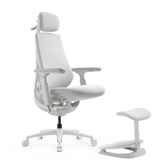 LiberNovo Maxis Big & Tall Dynamic Ergonomic Chair