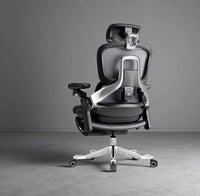 UE Ergonomic Office Chair FLOW 550