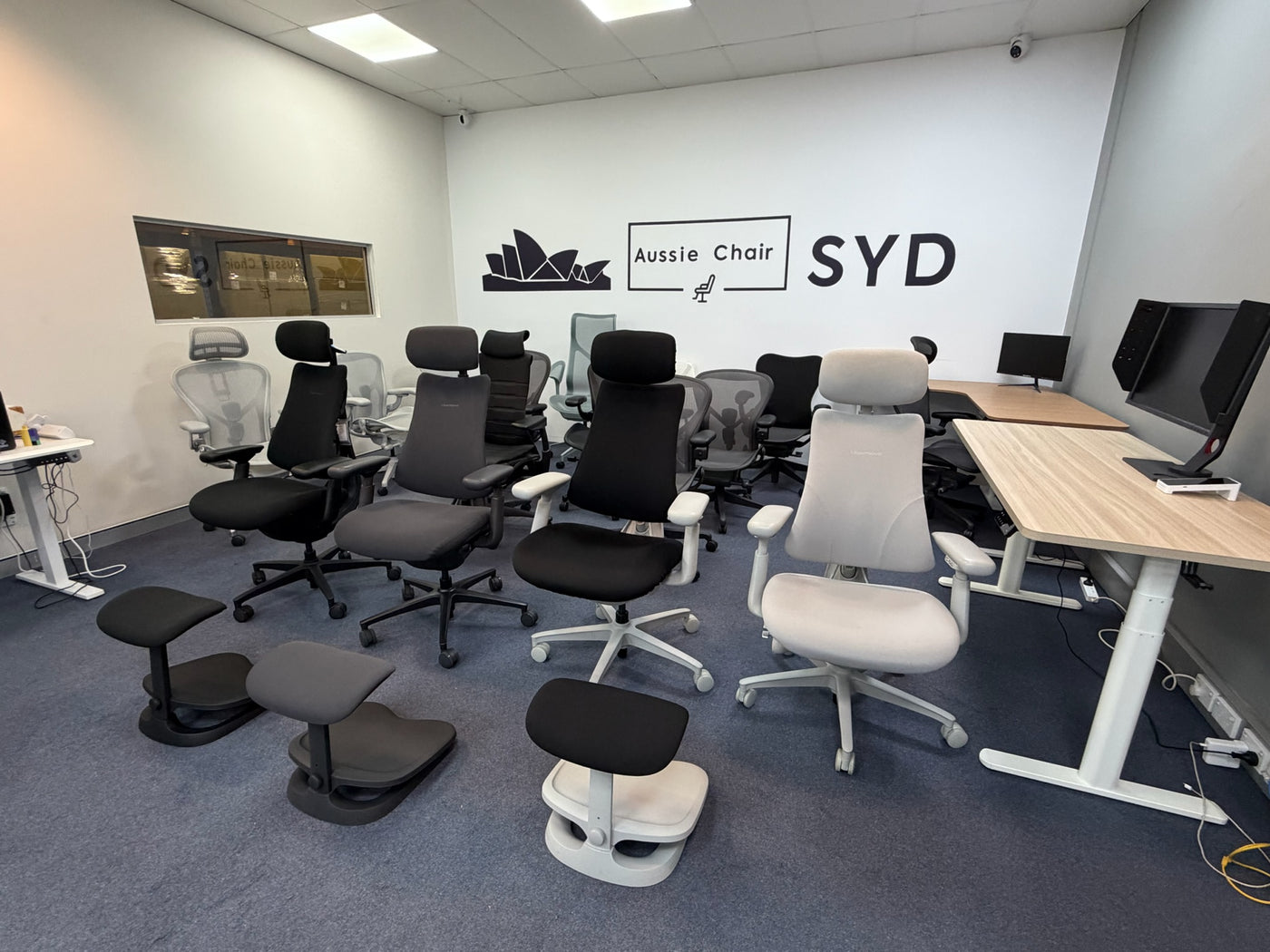 LiberNovo Omni Pro Smart Dynamic Ergonomic Chair