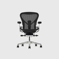 Herman Miller Aeron Chair
