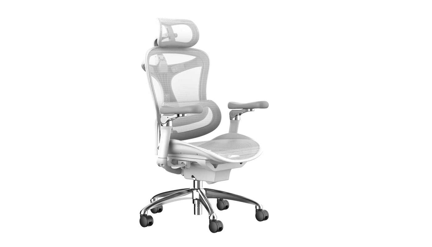 Sihoo DORO-C300 Pro (Second Gen)Ergonomic Office Chair
