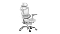 Sihoo DORO-C300 Pro (Second Gen)Ergonomic Office Chair