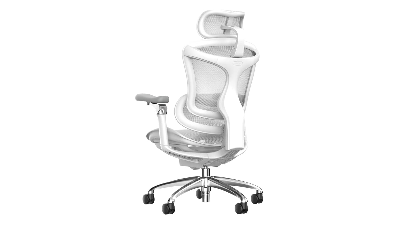 Sihoo DORO-C300 Pro (Second Gen)Ergonomic Office Chair