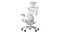 Sihoo DORO-C300 Pro (Second Gen)Ergonomic Office Chair