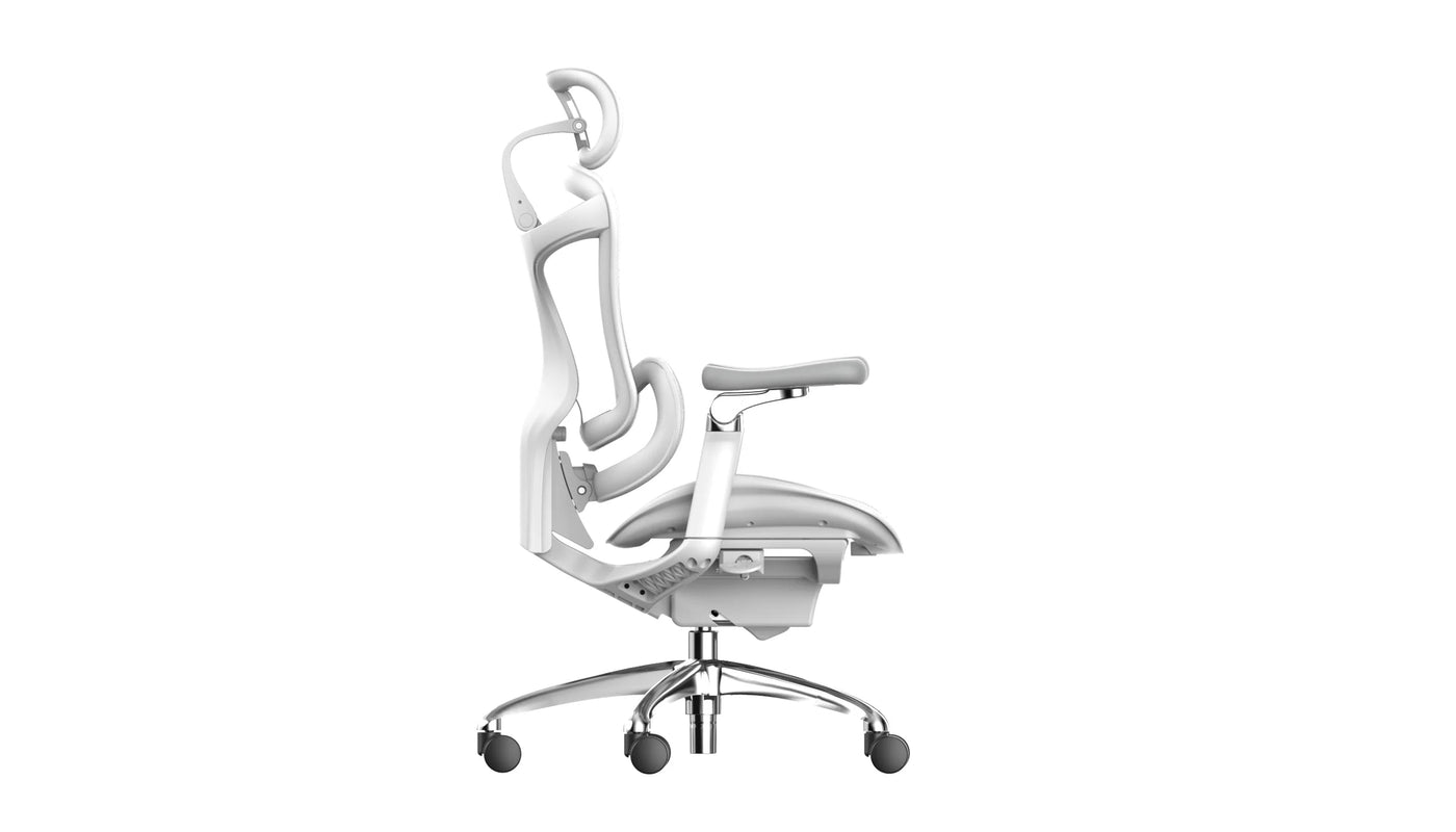 Sihoo DORO-C300 Pro (Second Gen)Ergonomic Office Chair