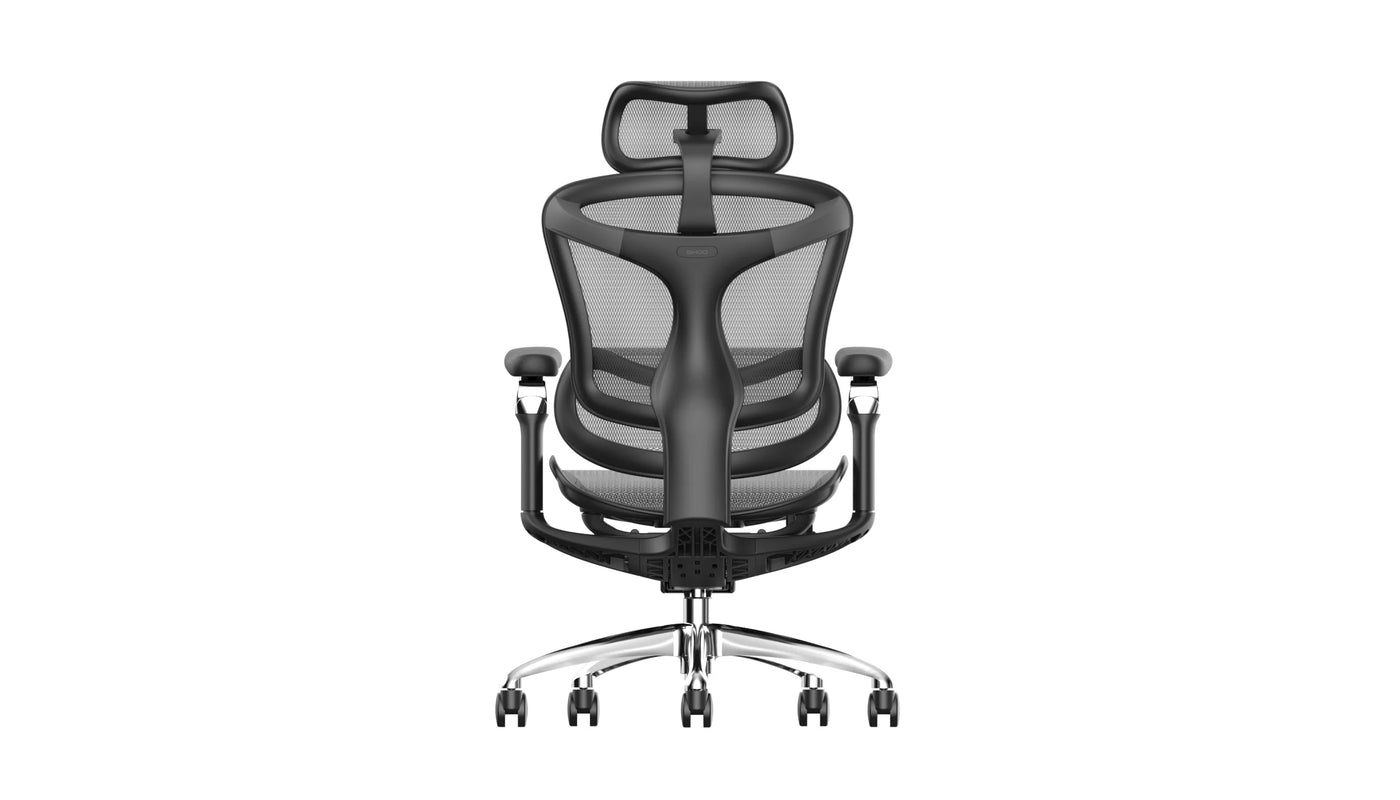 Sihoo DORO-C300 Pro (Second Gen)Ergonomic Office Chair