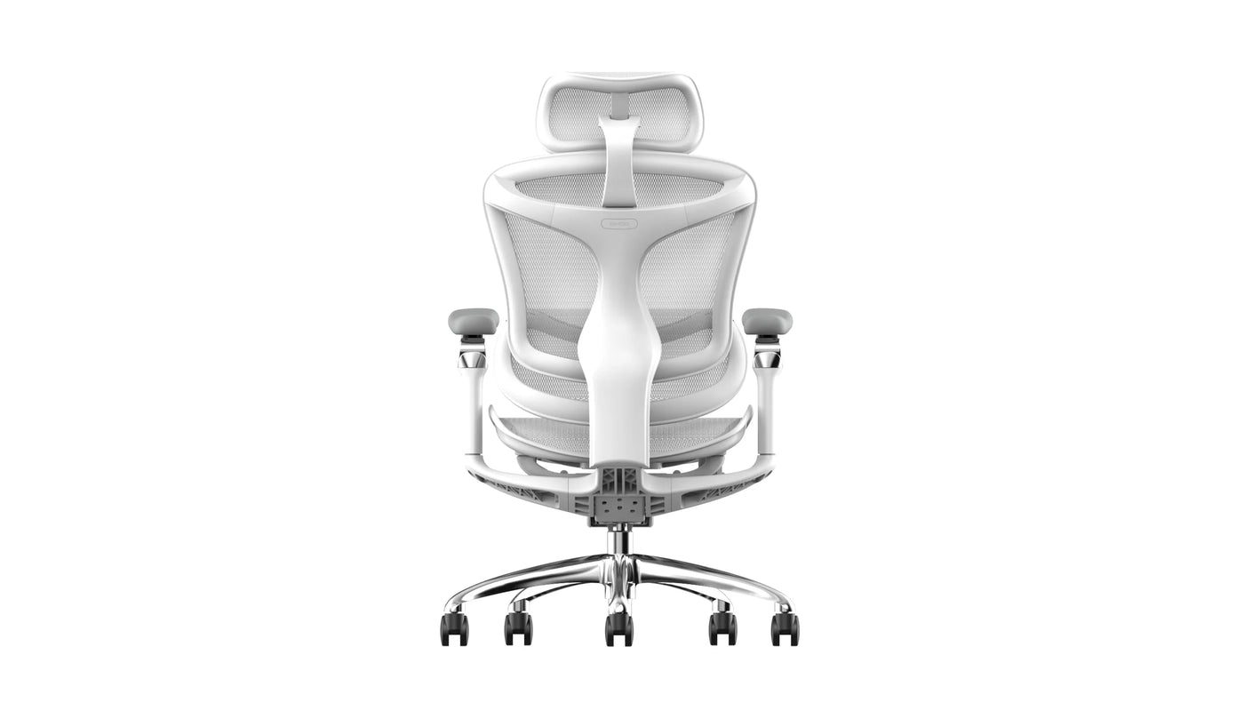 Sihoo DORO-C300 Pro (Second Gen)Ergonomic Office Chair