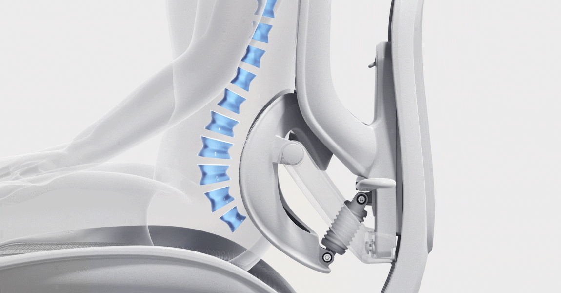 Domino lumbar 2.0
