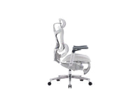 Sihoo DORO-C500 Ergonomic Office Chair