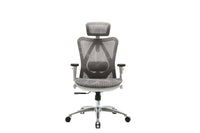Sihoo M57 Ergonomic Office Chair